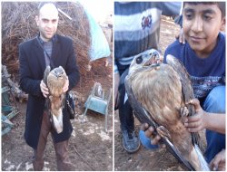 Yaralı Doğan’a duyarlı köylüler sahip çıktı