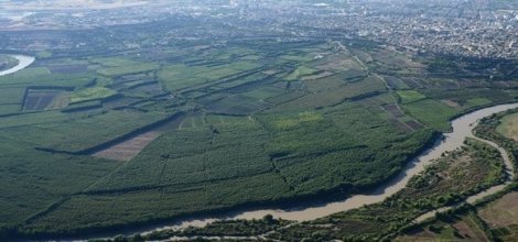 Şewata li Baxçeyên Hevselê yên Amedê di bin kontrolê de ye