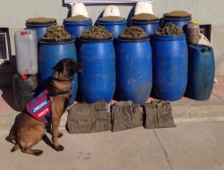 Diyarbakır’da 254 kilo uyuşturucu madde ele geçirildi