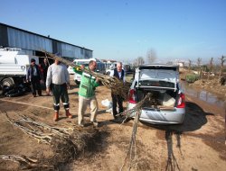 Çiftçilere 16 bin fidan dağıtılıyor
