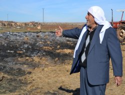 Saman üreticileri zarar etti