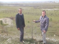 ‘Yeşil Kuşak’ uyarısı!