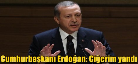 Cumhurbaşkanı Erdoğan: Ciğerim yandı