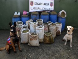 Diyarbakır’da esrar baskını