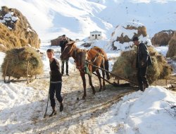 Yarıyıl tatilinde besicilik yapan çocuklar var