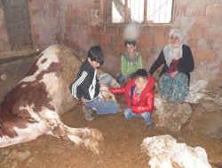 Geçim kaynakları yok oldu