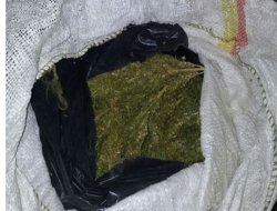 Bingöl’de uyuşturucu zanlısı 4 kişi tutuklandı