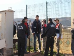 Kopan elektrik teline kapılan koyunlar telef oldu