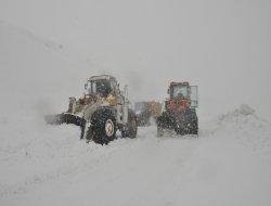 Mahsur kalanları kurtaran iş makinesi çığ altında kaldı
