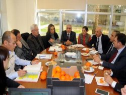 Adana’dan Japonya’ya limon ihracı