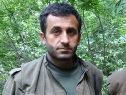 Şanlıurfa’da PKK üst düzey yöneticisi yakalandı