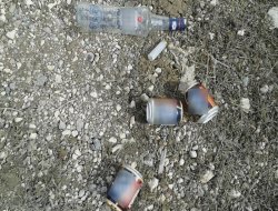 Mahalle aralarını meyhaneye çevirdiler