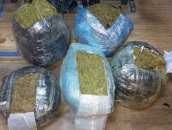 Bingöl'de esrar ele geçirildi