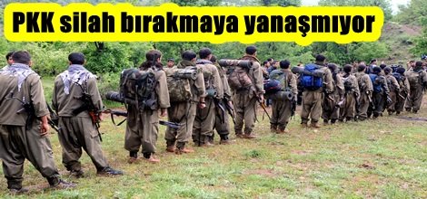 PKK silah bırakmaya yanaşmıyor