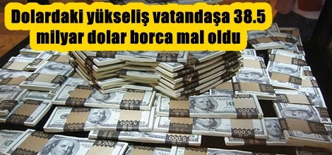 Dolardaki yükseliş vatandaşa 38.5 milyar dolar borca mal oldu