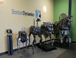 Google'nin yeni robotu veya Batı'nın Robotlaşması