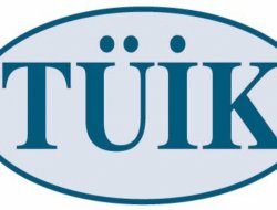 Girişimlerin yüzde 56,6’sının web sayfası var