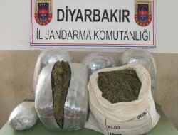 Diyarbakır’da esrar baskını