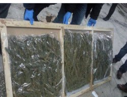 Batman’da 98 kilo esrar ele geçirildi