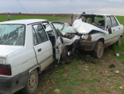 Ceylanpınar Kızıltepe Karayolunda kaza:8 yaralı