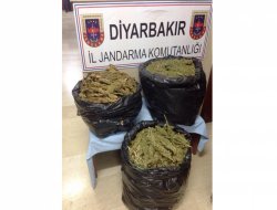 Diyarbakır’da esrar baskını