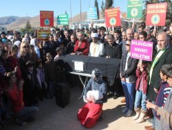Kızıltepe'de termik santral protesto edildi