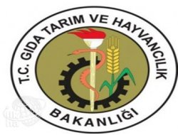 Meyvede İç Piyasa Tamam, İhracatta Rekor Var