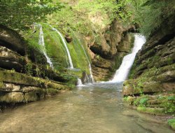 Su Kirliliğinin Kontrolü çalıştayı