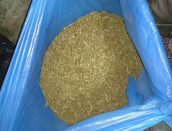 Gaziznatep'te esrar baskınları