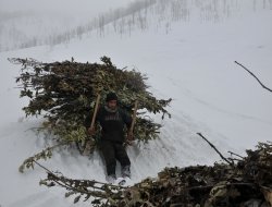 Metrelerce kar arasında tehlilkeli yolculıuk