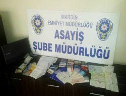 Mardin'de hırsızlıık baskınları