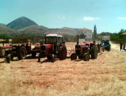 Çiftçiye 356 milyon destek