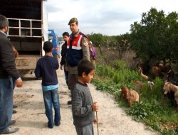 Öldürülen yaşlı çobanın koyunları bulundu