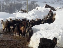 Ağır kış aylarında köyde yaşamak