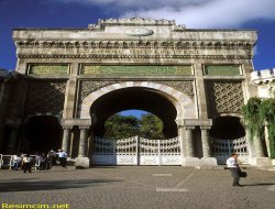 İstanbul Üniversitesi'nde Baltalı Dehşet: 1 Ölü!