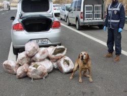 Gaziantep’te 81 kilo uyuşturucu ele geçirildi