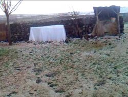 Çınar'da beş dakikalık dolu yeri beyaza bürüdü