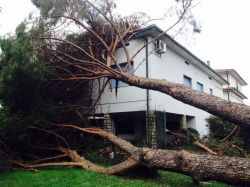 İtalya'da şiddetli fırtına hayatı felç etti: 3ölü