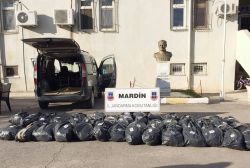 Mardin’de esrar baskınları