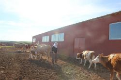 Göçebe iken ürettiği proje ile hayatı değişti
