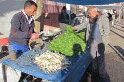 Siverek'te baharın müjdecisi bitkiler pazara indi