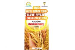 TMO’dan buğday üreticisine ilave fiyat müjdesi