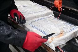 Adana’da 61 Kilo uyuşturucu yakalandı