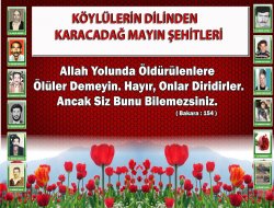 Köylülerin dilinden Karacadağ şehitleri