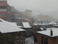Bitlis, yeniden yoğun kar yağışının etkisinde