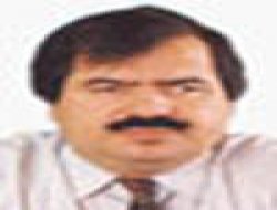 Akseki modeli ve Bakuri