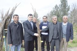 Batman’daki çiftçilere 18 bin adet ceviz fidanı dağıtıldı