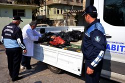 At etini piyasaya sürmek üzereyken yakalandı