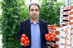 Eksi 35 derecede domates üretimi