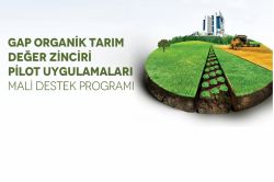Organik tarıma destek